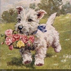 Meet your Posher, Dixie